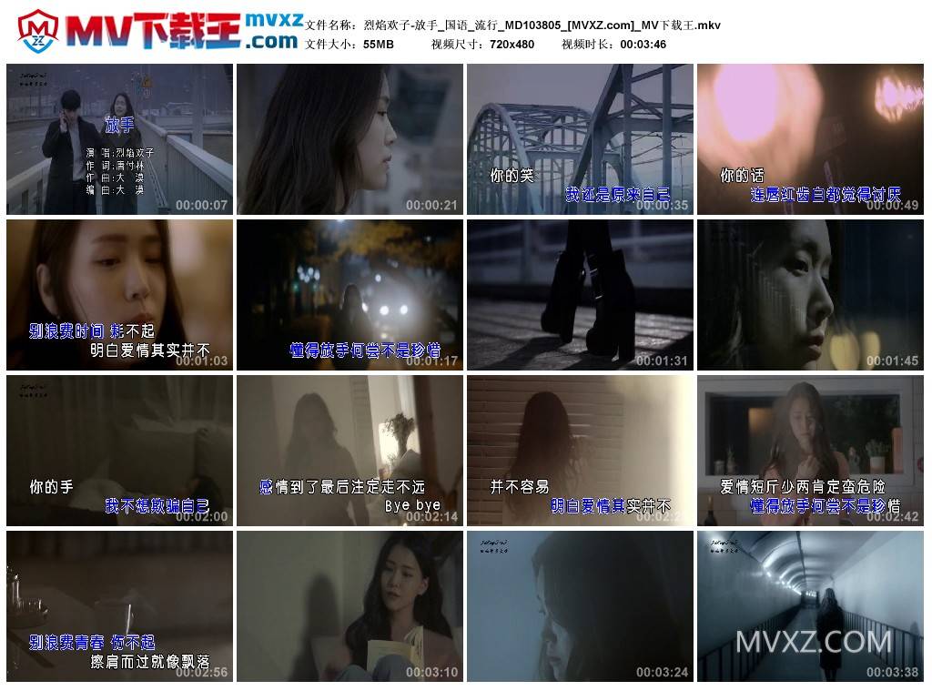 烈焰欢子-放手_国语_流行_MD103805